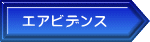 エアビデンス